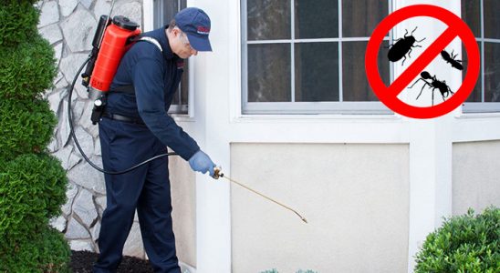 Karayazı Böcek İlaçlama böcek ilaçlama ve haşere kontrolü — ilaclama-tr.com